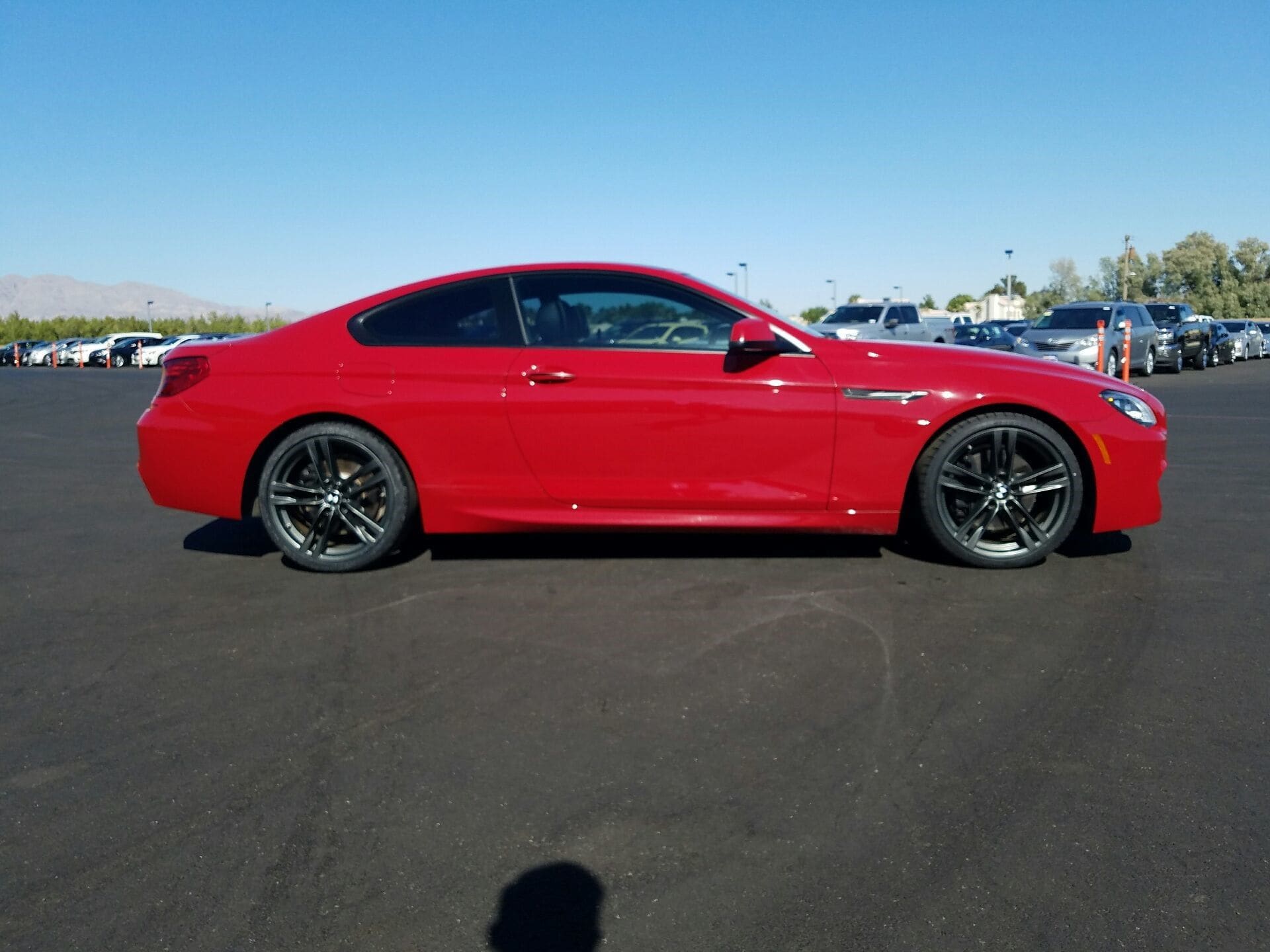 Beauty and the Beast ??? BMW 650i Unicorns ??? The Carmax Unicorn Blog